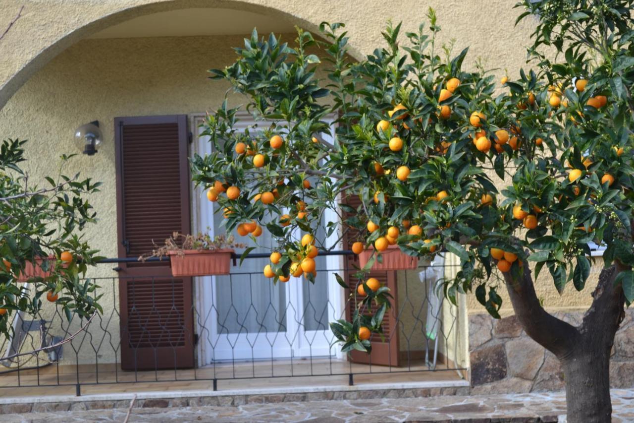 Etesia Bed and Breakfast Olbia Buitenkant foto