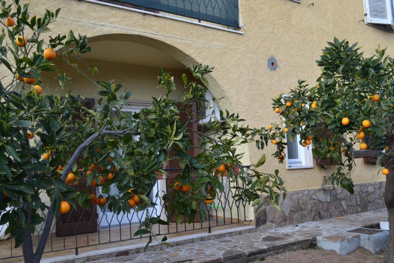 Etesia Bed and Breakfast Olbia Buitenkant foto