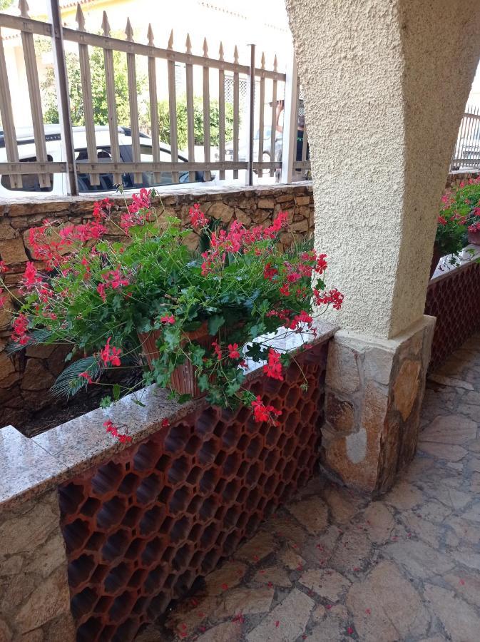 Etesia Bed and Breakfast Olbia Buitenkant foto